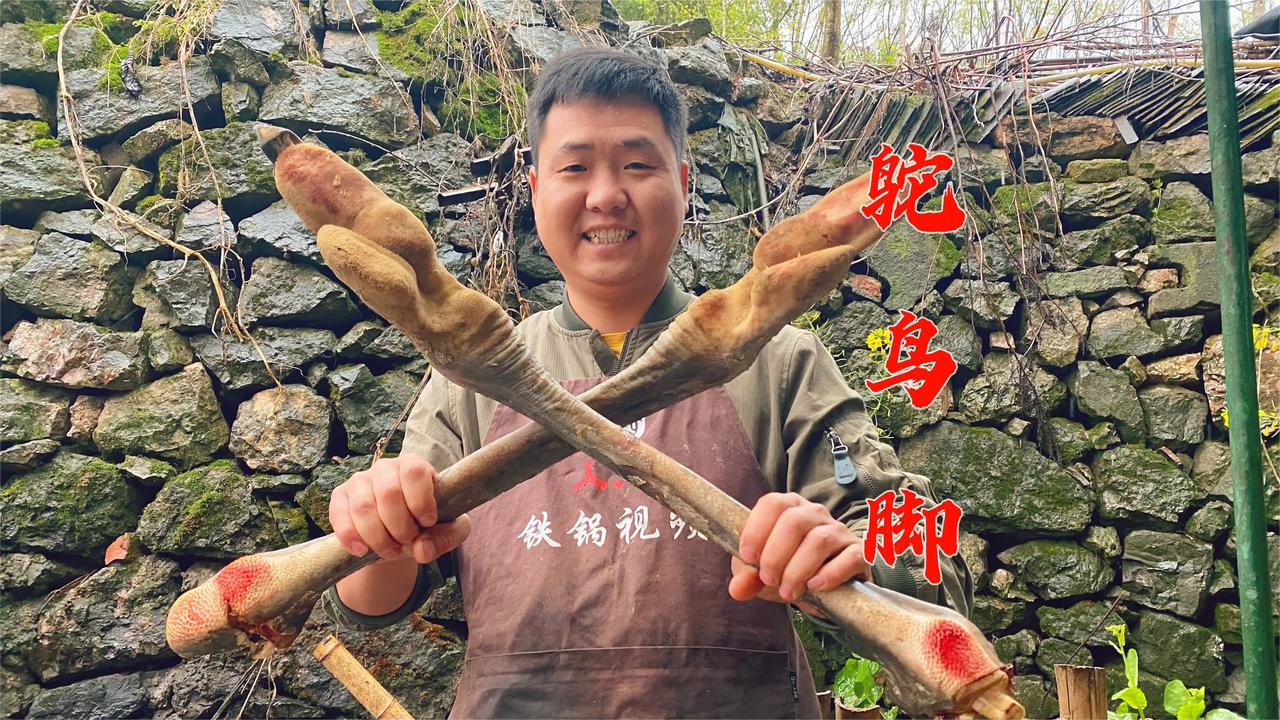 老二死懒要大哥整鸵鸟脚吃才干活吃完心里美滋滋