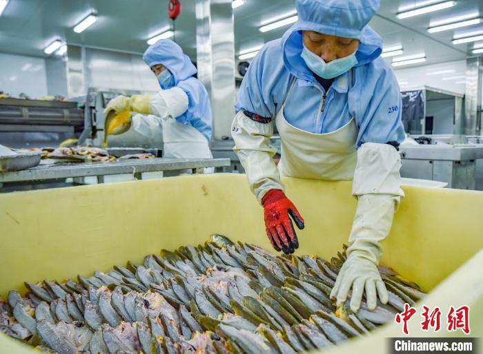 阮传龙 摄为保证水产企业能够正常生产经营,韩承义告诉记者,一方面