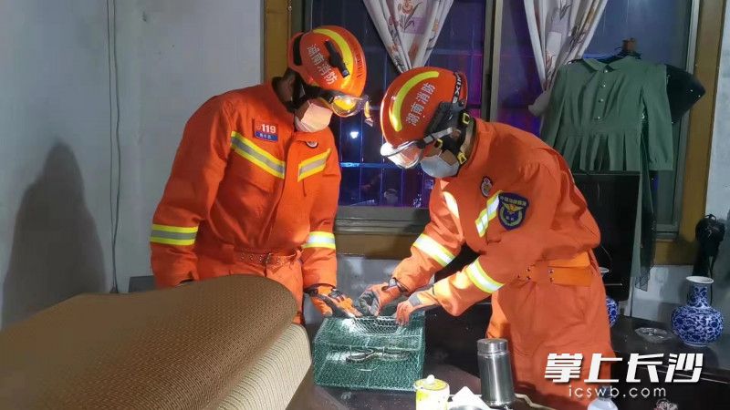 长沙晚报掌上长沙4月22日讯(全媒体记者 刘琦 通讯员 杨来富)每年春天