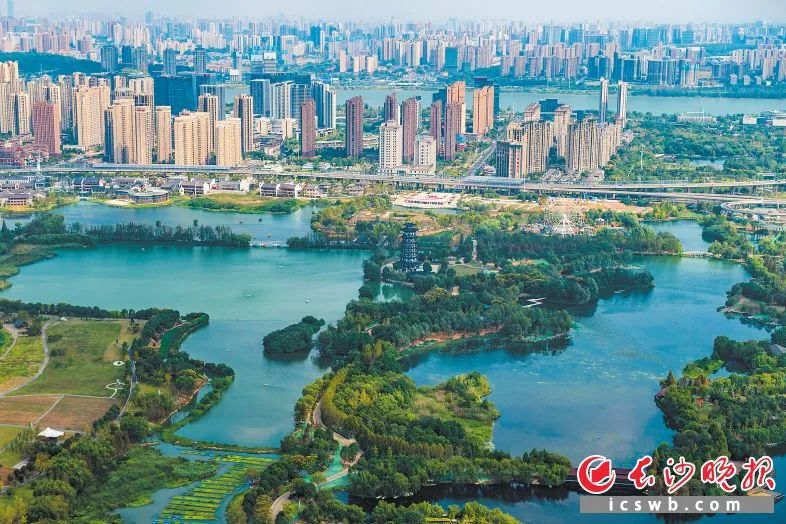 央企保利天字系"新物种"选定洋湖片区|长沙市_新浪新闻