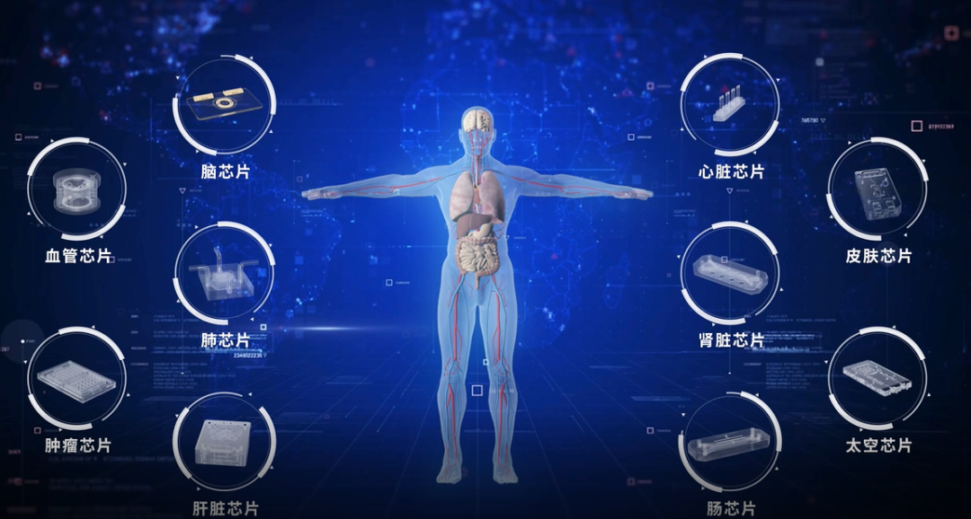 中国首例植入人体芯片图片
