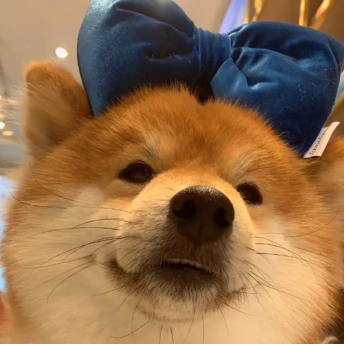 今日头像丨每天都要甜甜der