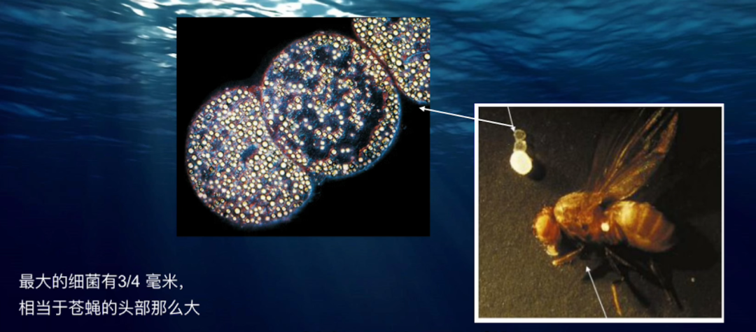 今日全宇宙最涨姿势的十张图