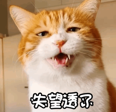 听说超模都在喝这种抗炎抗氧抗衰美肤的黄金奶