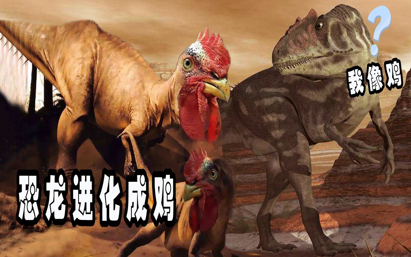 恐龙并未灭绝生物学家鸡鸭鹅以及鸟类都是恐龙的后代