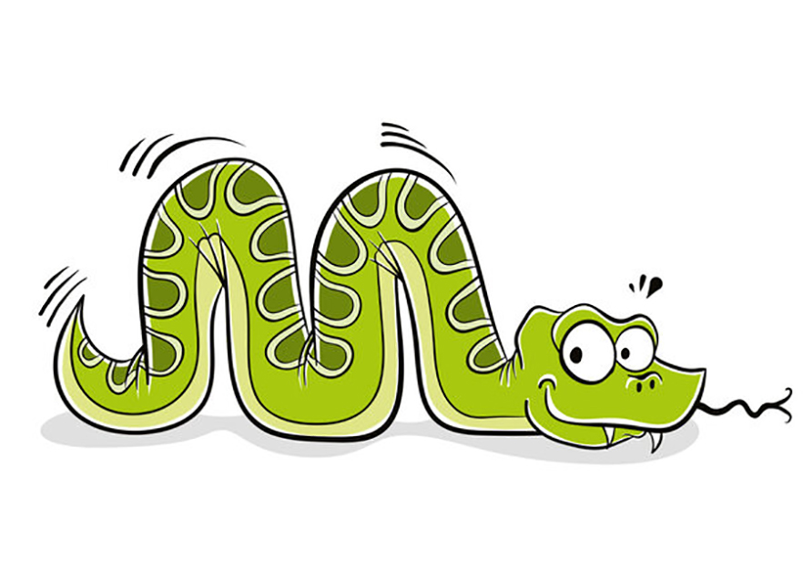 50斤巨蟒突现深圳工业园蟒蛇到底能长多大它们的战斗力有多强