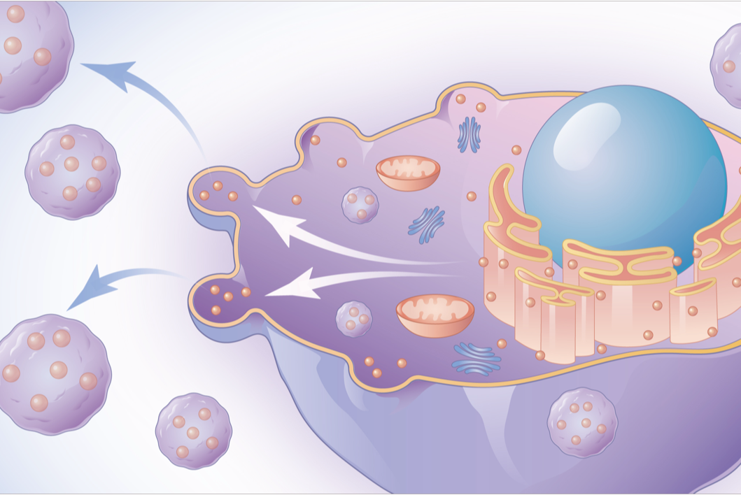 这才是真正的科研绘图自由