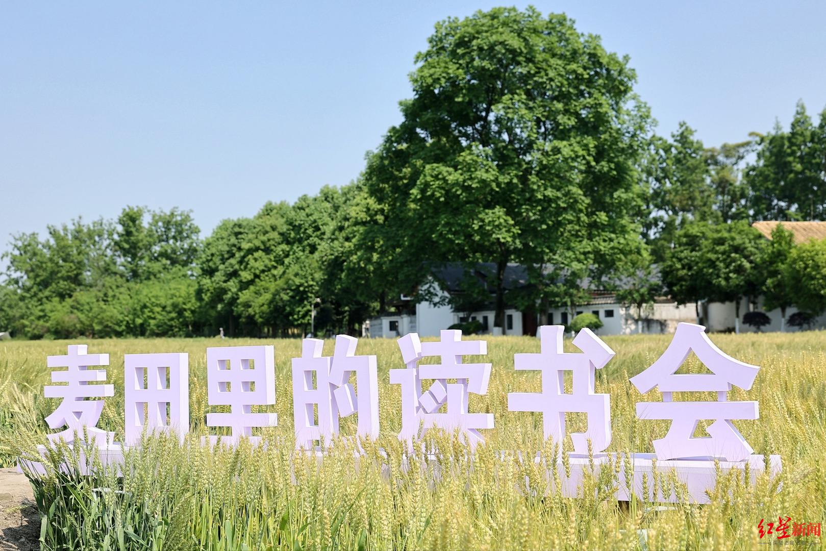 成都世界读书日赴一场麦田里的读书会