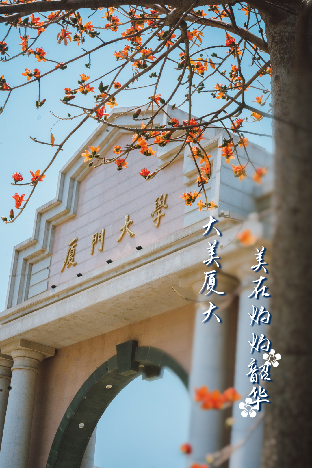 在"浙"里,美一"厦" | 大美校园·自然之美①|厦门大学_新浪财经_新浪