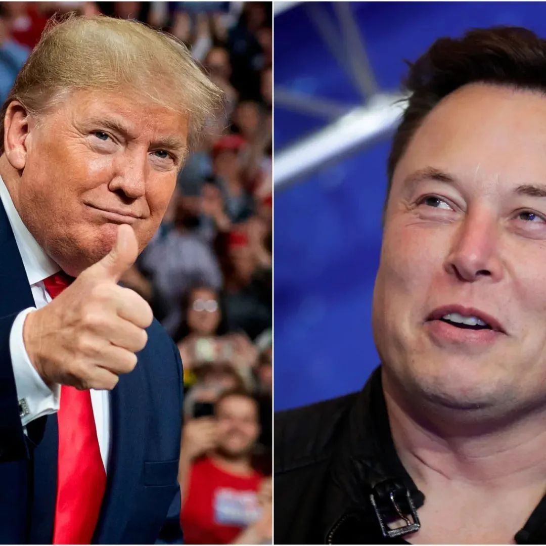 马斯克欲收购推特，是为了捧特朗普？休闲区蓝鸢梦想 - Www.slyday.coM