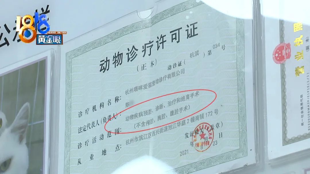 杭州喵咪爱猫宠物诊疗有限公司有动物诊疗许可证,诊疗活动范围包含