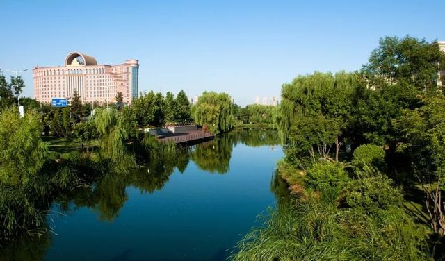 河北有一小镇，人口只有8万多人，却是北方“最大”猪鬃出口基地休闲区蓝鸢梦想 - Www.slyday.coM