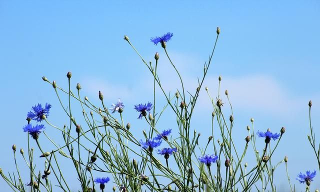 在生命的树下,听时光叶子落下的声音休闲区蓝鸢梦想 - Www.slyday.coM 在生命的树下,听时光叶子落下的声音休闲区蓝鸢梦想 - Www.slyday.coM