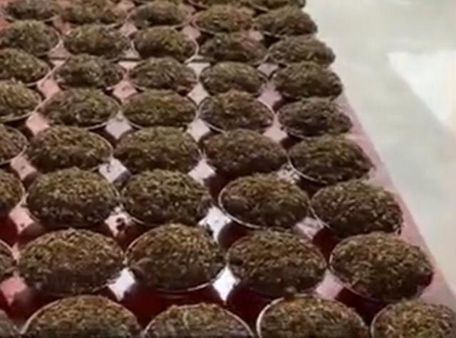 购买150份扣肉职业打假人遭网暴:自己不卖假货为何别人能找麻烦休闲区蓝鸢梦想 - Www.slyday.coM 购买150份扣肉职业打假人遭网暴:自己不卖假货为何别人能找麻烦休闲区蓝鸢梦想 - Www.slyday.coM