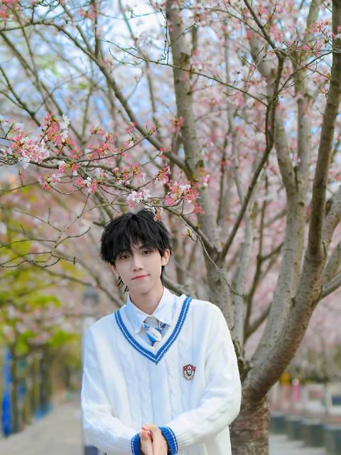 短视频分享西安webest