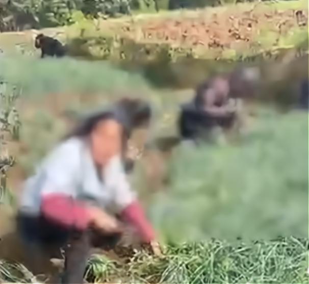 购买150份扣肉职业打假人遭网暴:自己不卖假货为何别人能找麻烦休闲区蓝鸢梦想 - Www.slyday.coM 购买150份扣肉职业打假人遭网暴:自己不卖假货为何别人能找麻烦休闲区蓝鸢梦想 - Www.slyday.coM