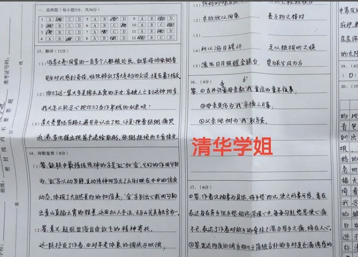 高考语文146分的卷面长啥样字迹干净整洁都下不去扣分的手