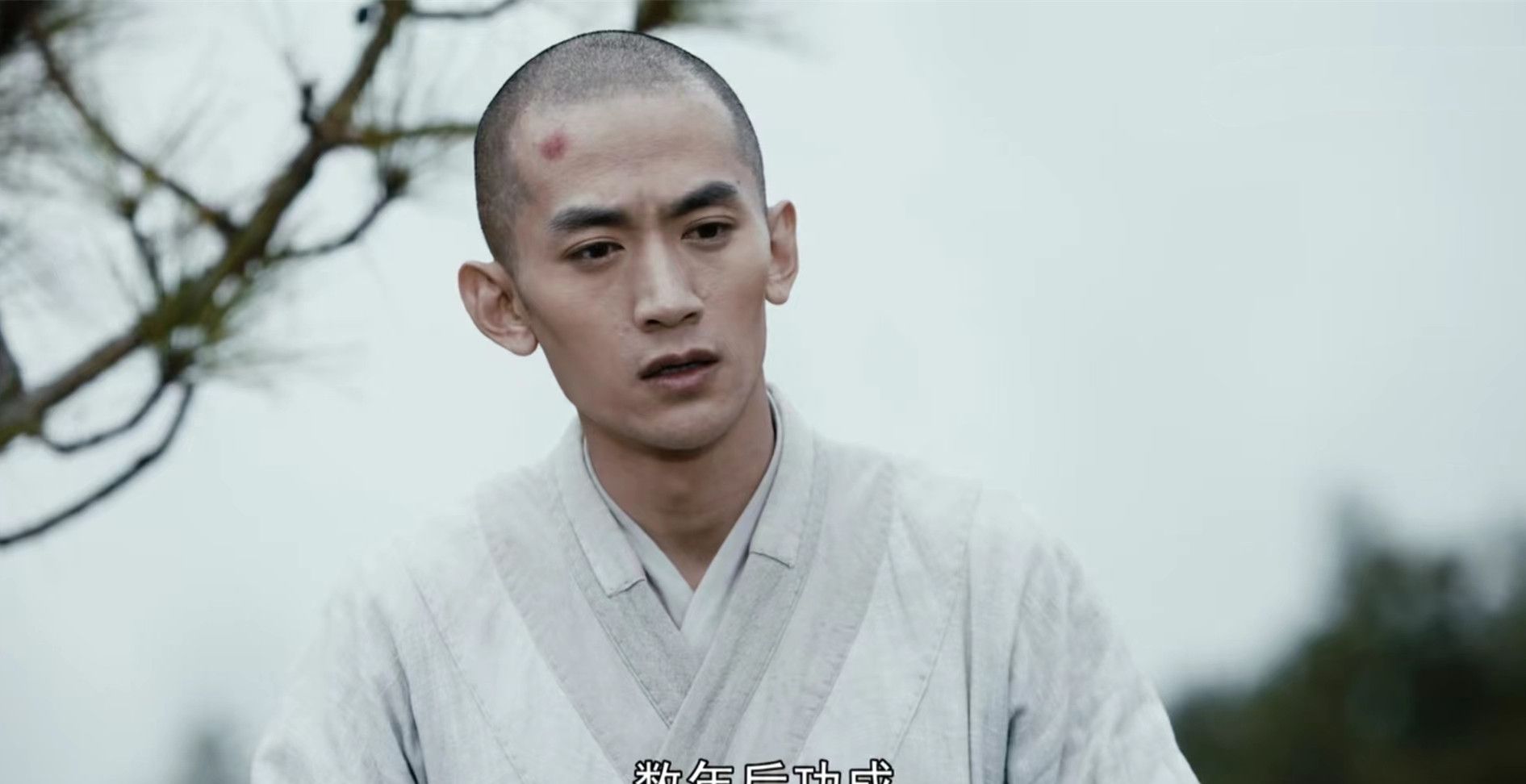 张天阳出道13年为啥仍不红看过他演的虚竹林探花铁铉就懂了