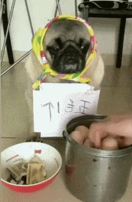 狗狗路边卖鸡蛋,钱被坏人抢完,鸡蛋被城管拿完!休闲区蓝鸢梦想 - Www.slyday.coM 狗狗路边卖鸡蛋,钱被坏人抢完,鸡蛋被城管拿完!休闲区蓝鸢梦想 - Www.slyday.coM