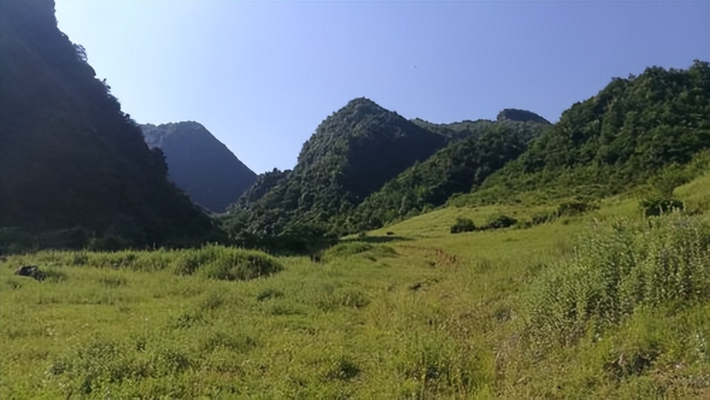 放马滩出土12枚竹简他们合称吏篇揭秘了秦朝官场的秘密
