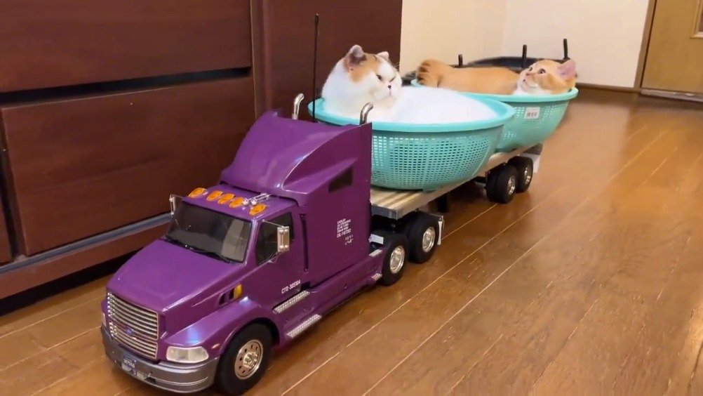 运猫车bytwitterjirosan7767