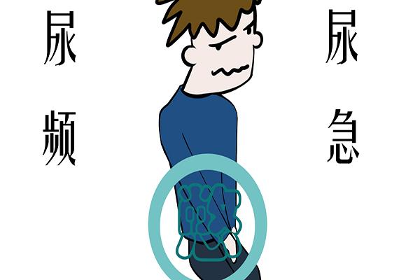 经常出现尿频尿急症状到底是尿路感染还是前列腺疾病