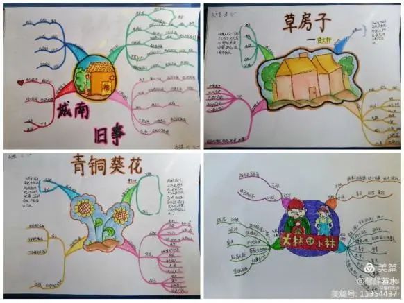读书小报读书记录学生根据自己的兴趣和志向选择读书,制定好读书计划