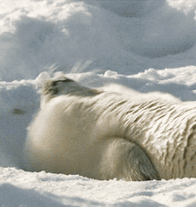 怎么把「状态低谷期」变「蓄力逆袭期」？最低成本状态回血，简单有效！休闲区蓝鸢梦想 - Www.slyday.coM