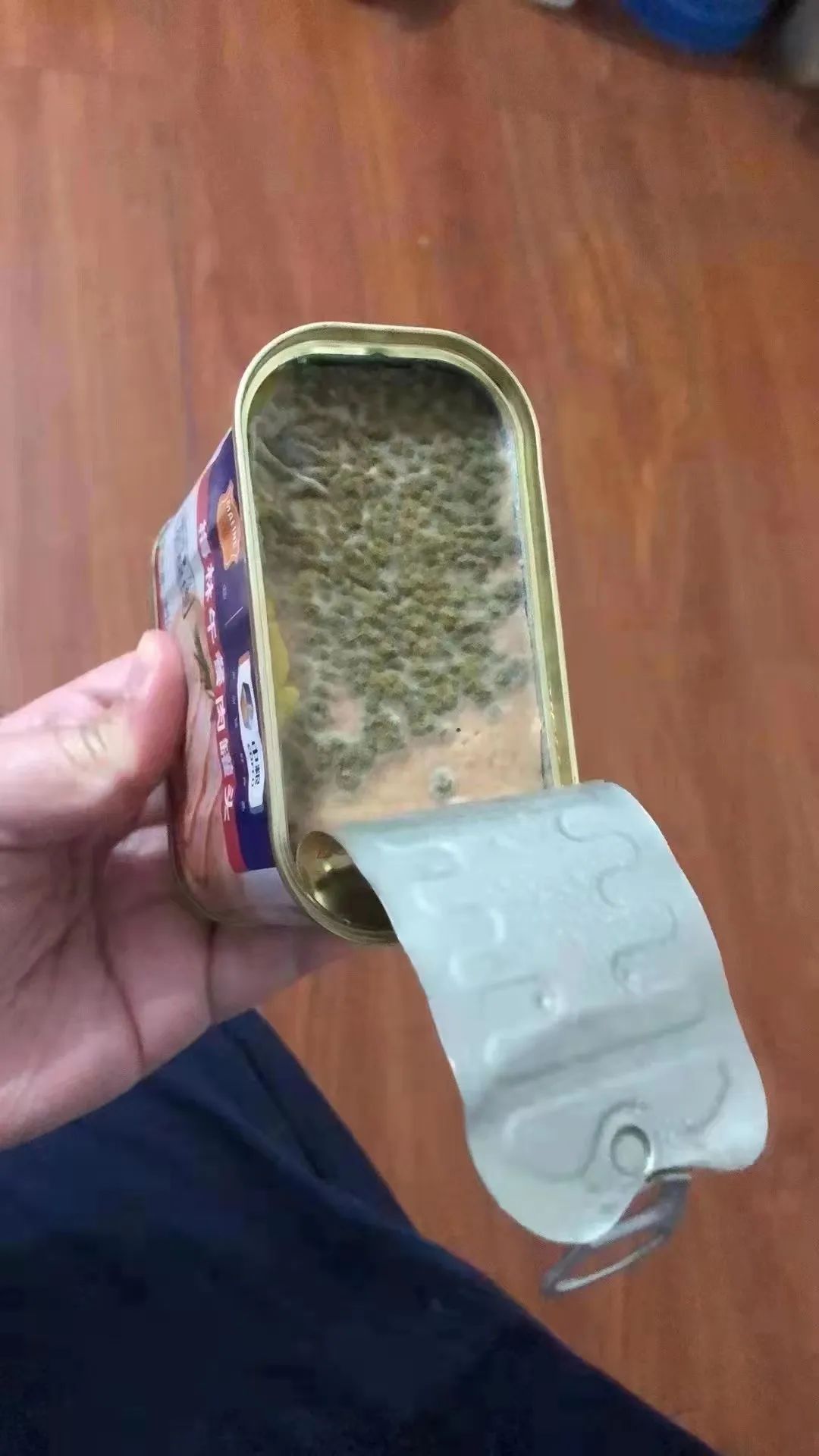 发霉的酱鸭,长毛的罐头,劣质的狮子头,光看着就足够恶心了.