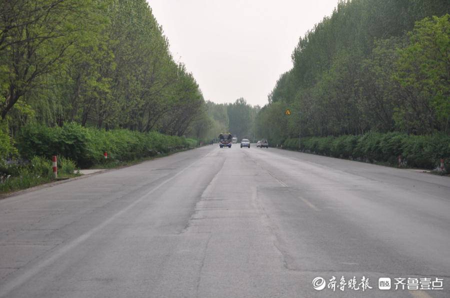 国道341东阿县城至阳谷县界段将于今年7月开始大修