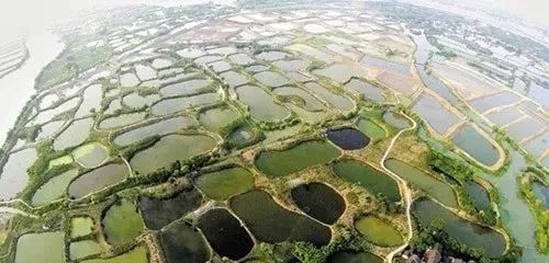 间作、垄作、套种、圩田、垸田、垛田、台田、熟制、耕作制度、复种指数、果实套袋,塑料薄膜,铺鹅软石农业知识大全!__财经头条