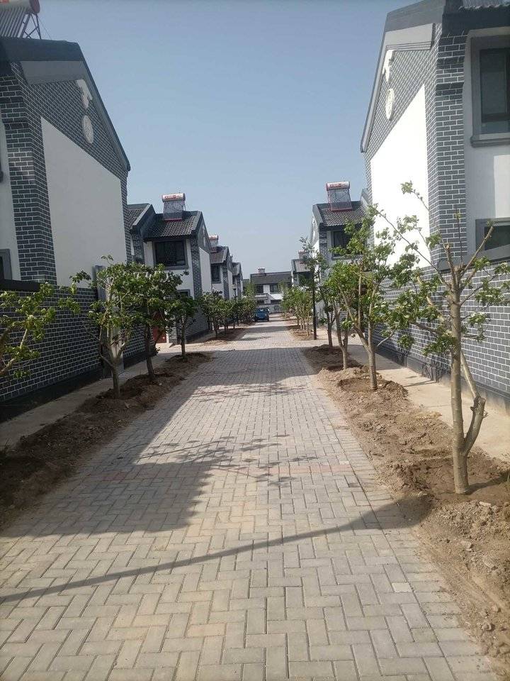 探索绿色出行寻访汉代平原郡古城