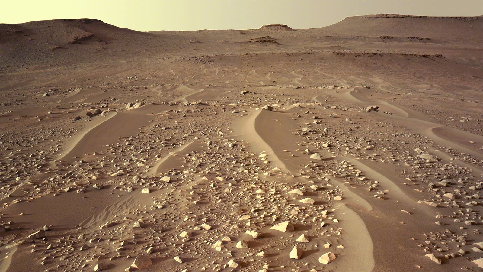 当地时间4月24日15时37分毅力号拍摄到的火星表面