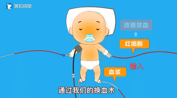 亲爱的小孩因黄疸引发争执新生儿黄疸真的不用管