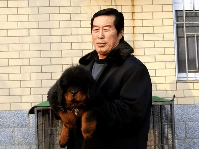 “马家军”神话的缔造者！马俊仁充满争议的一生，如今成养狗专家__财经头条