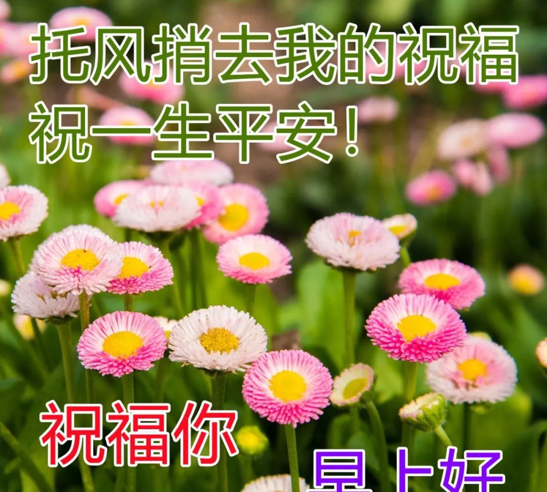 祝福满满的早上好问候图片合集早安祝福图片加字