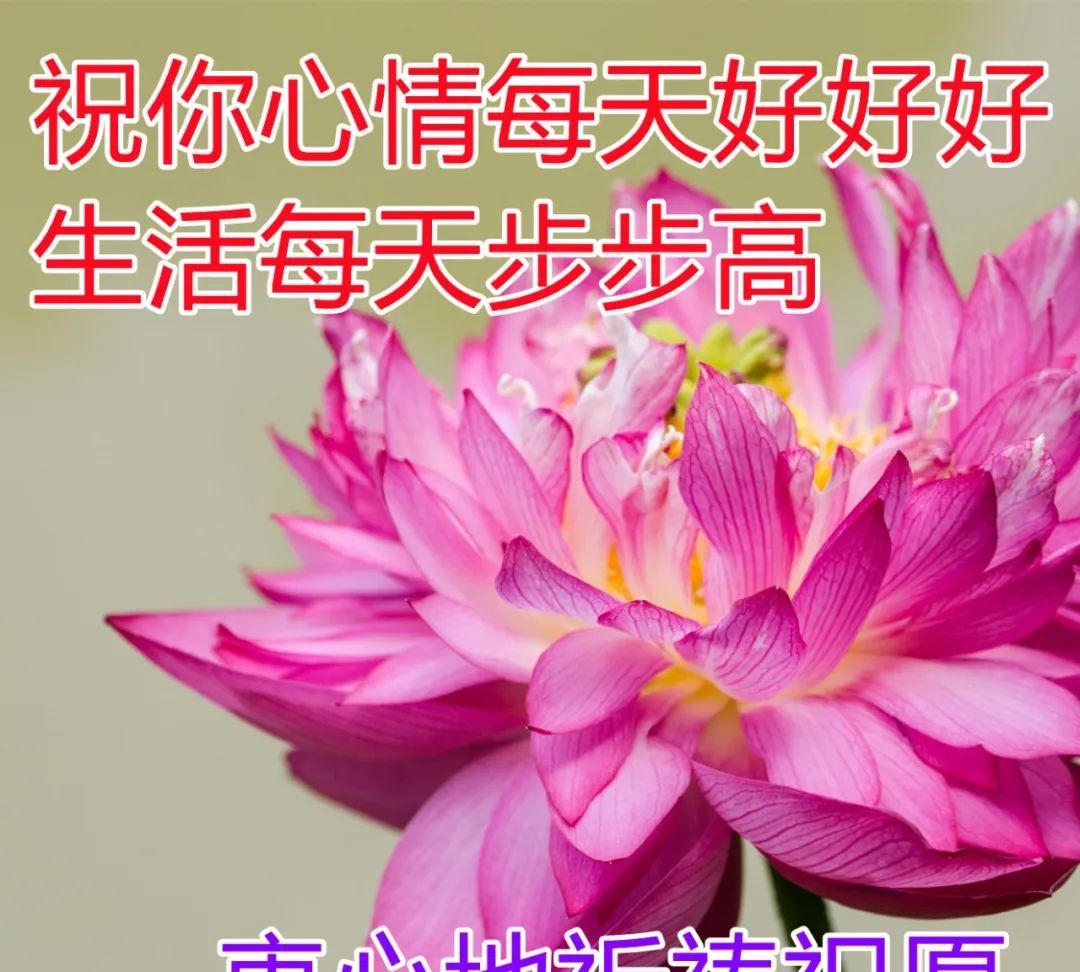 祝福满满的早上好问候图片合集早安祝福图片加字