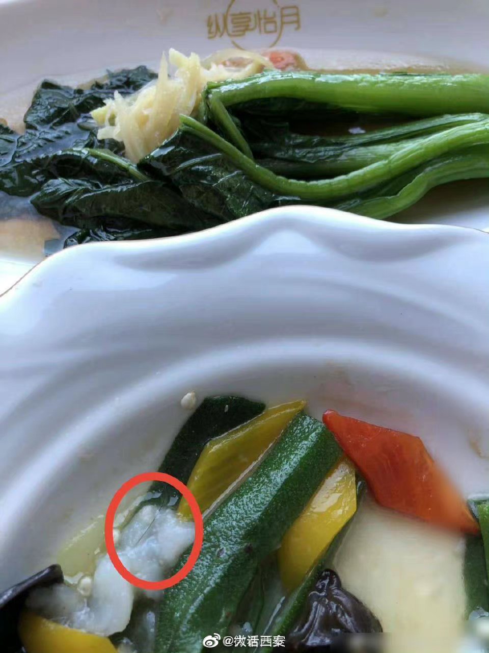 西安 西安一月子中心月子餐有异物食材发霉不干净 客户无奈曝光吐槽休闲区蓝鸢梦想 - Www.slyday.coM
