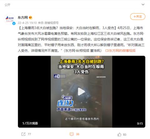 上海暴雨3名大白被刮跑？当地保安：大白当时在躲雨，3人受伤休闲区蓝鸢梦想 - Www.slyday.coM