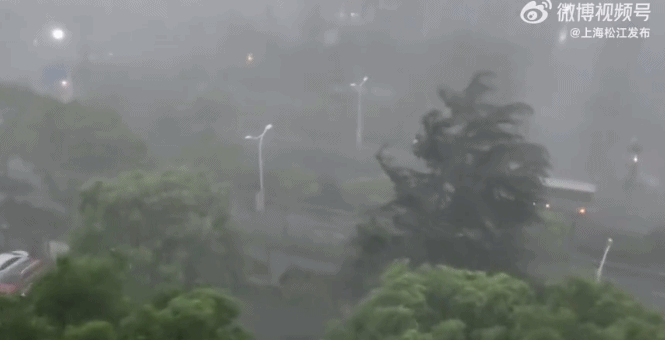 上海暴雨来袭场面壮观！江淮气旋腔势哈浓，局地下冰雹！休闲区蓝鸢梦想 - Www.slyday.coM