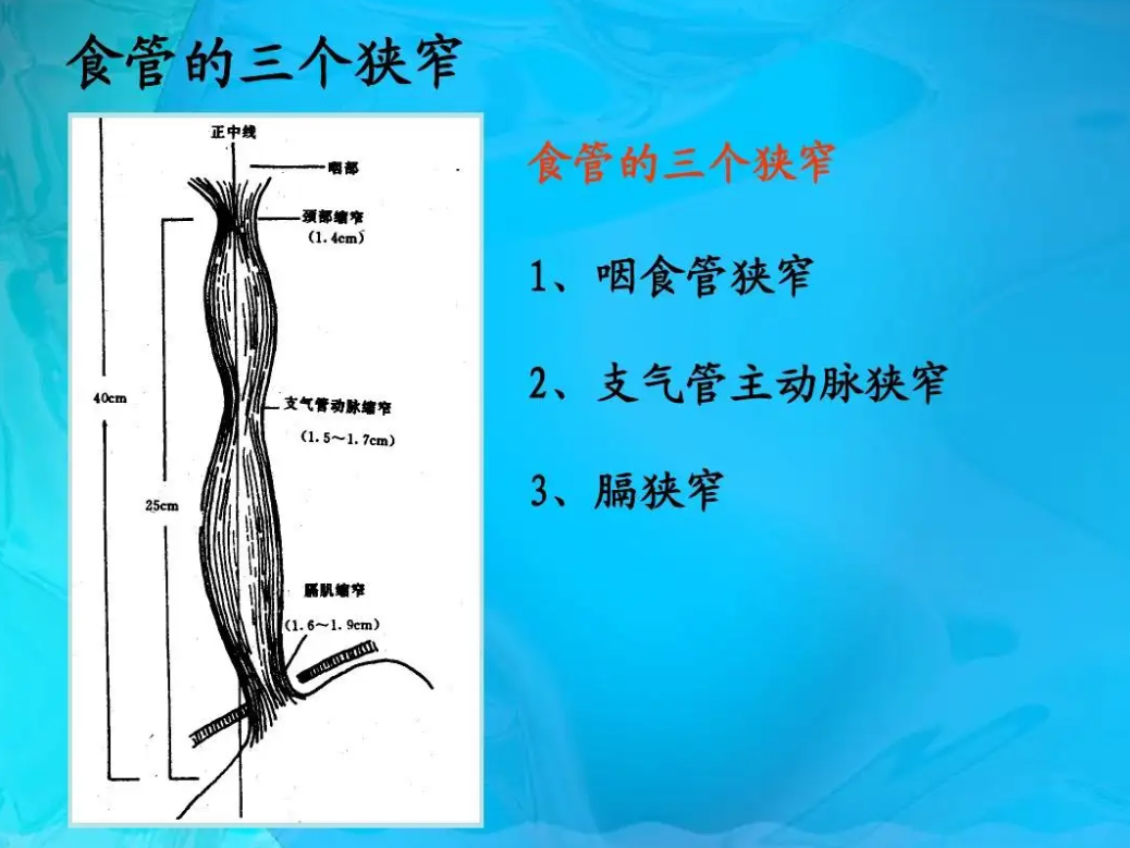 科学有意思休闲区蓝鸢梦想 - Www.slyday.coM