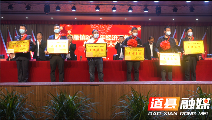 道县寿雁镇召开2022年经济工作暨2021年度表彰大会
