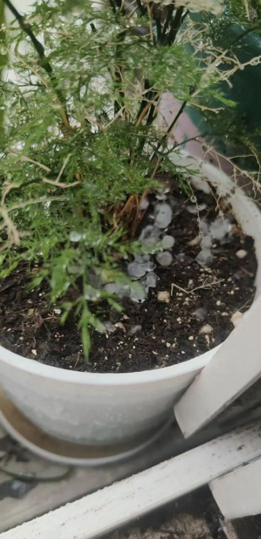 上海暴雨来袭场面壮观！江淮气旋腔势哈浓，局地下冰雹！休闲区蓝鸢梦想 - Www.slyday.coM