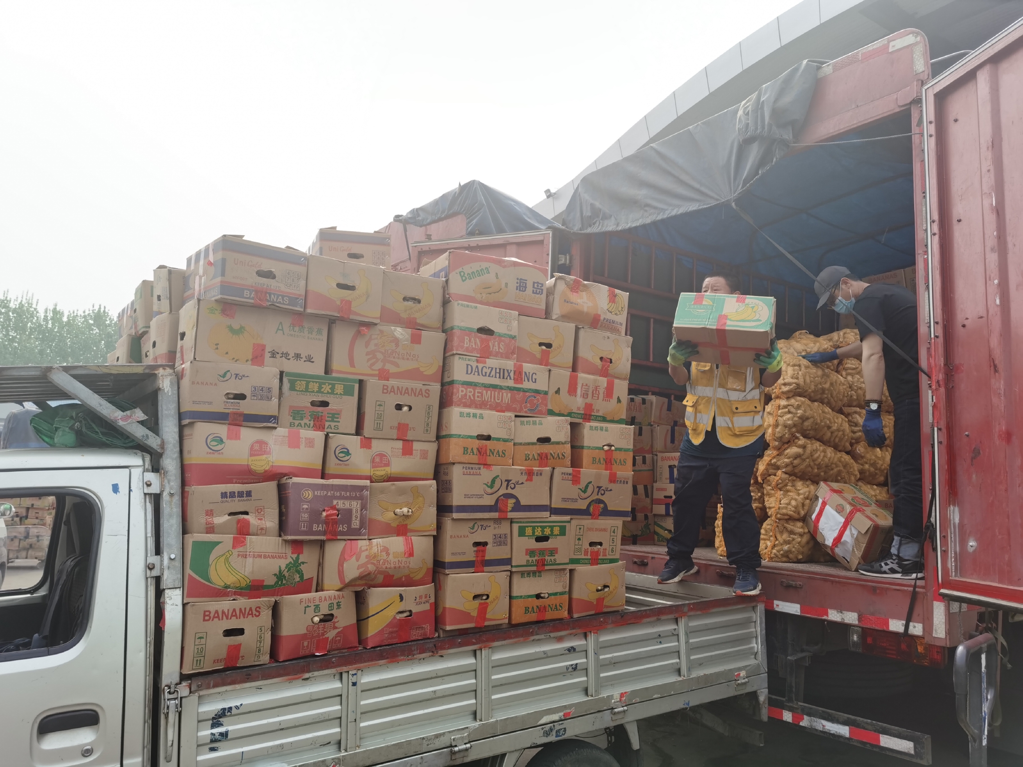 力托首都菜篮子丰台新发地岳各庄市场及各大商超货足价稳