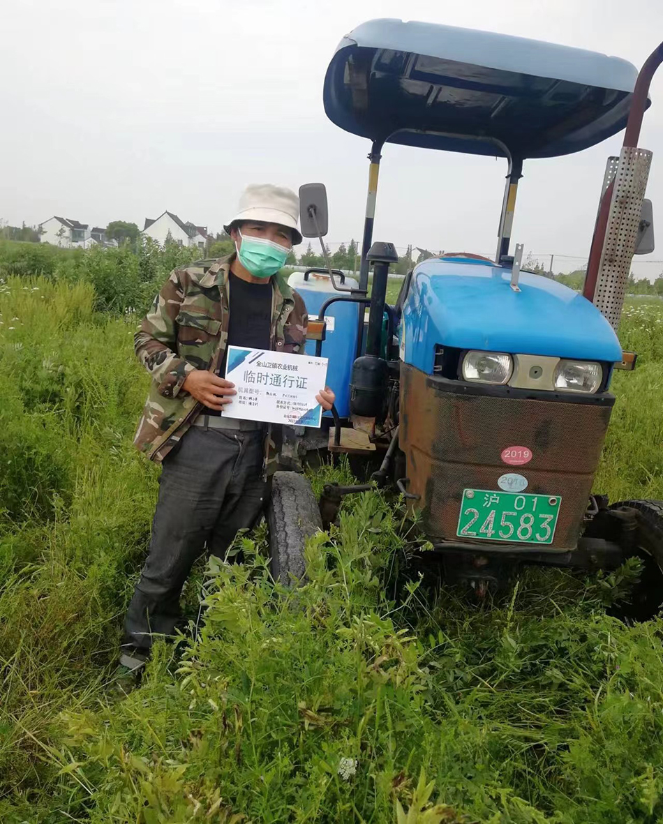 本文图片均来自金山区
