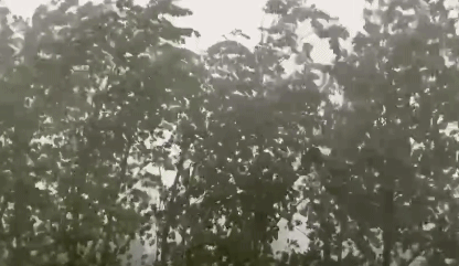 上海暴雨来袭场面壮观！江淮气旋腔势哈浓，局地下冰雹！休闲区蓝鸢梦想 - Www.slyday.coM