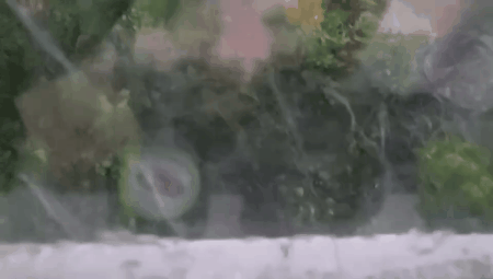 上海暴雨来袭场面壮观！江淮气旋腔势哈浓，局地下冰雹！休闲区蓝鸢梦想 - Www.slyday.coM