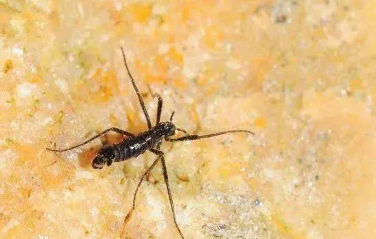 石嘴山市文体旅广电局关于做好大风沙尘天气安全防范工作的提示