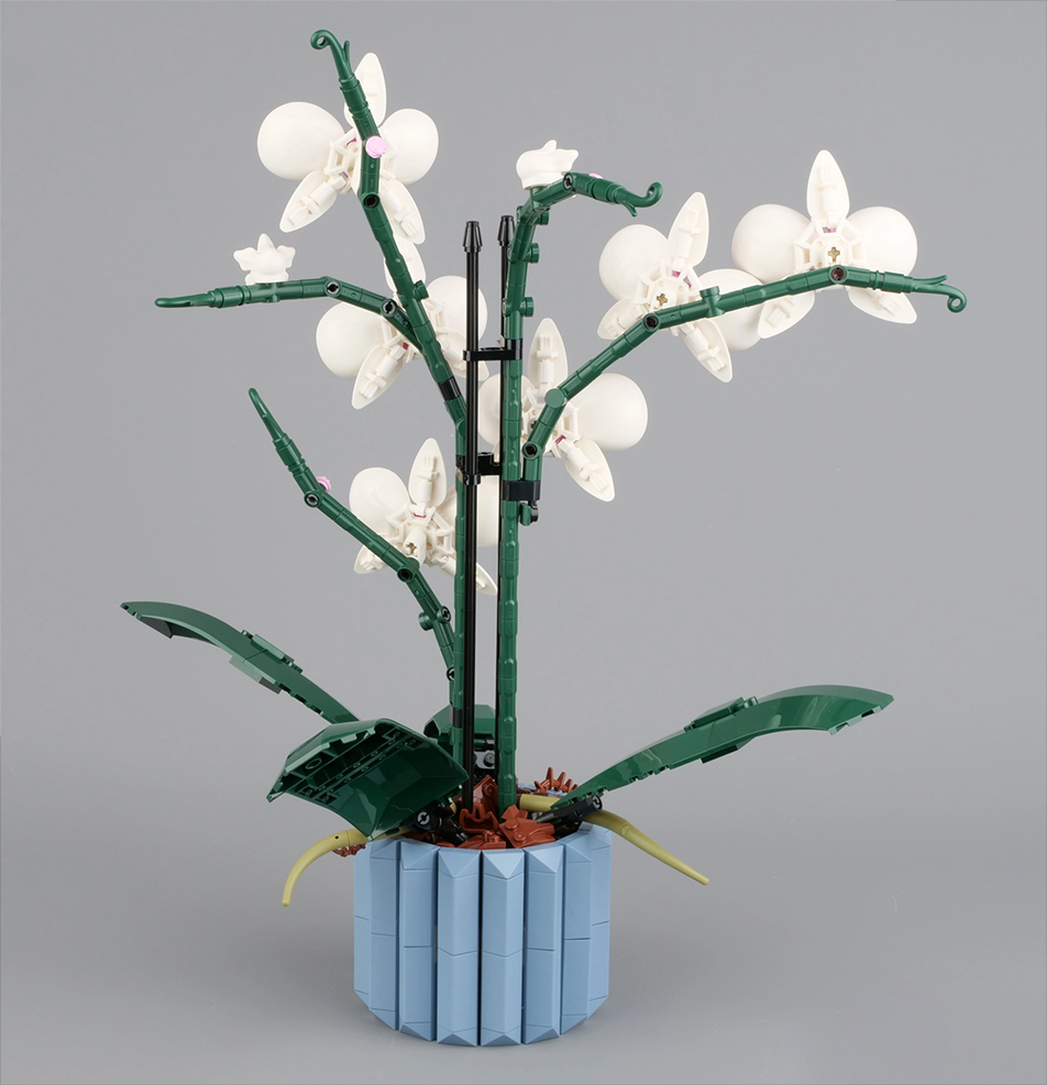 又有新花啦云玩乐高10311兰花