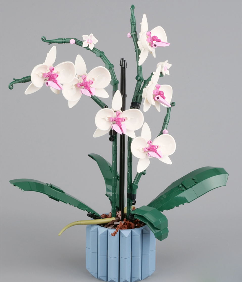 又有新花啦云玩乐高10311兰花